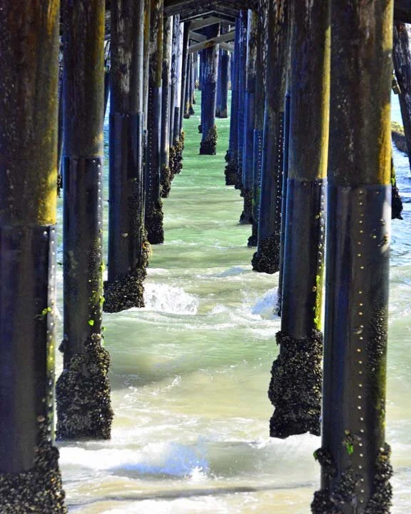 Tunnel Scene..Squarespace...jpg