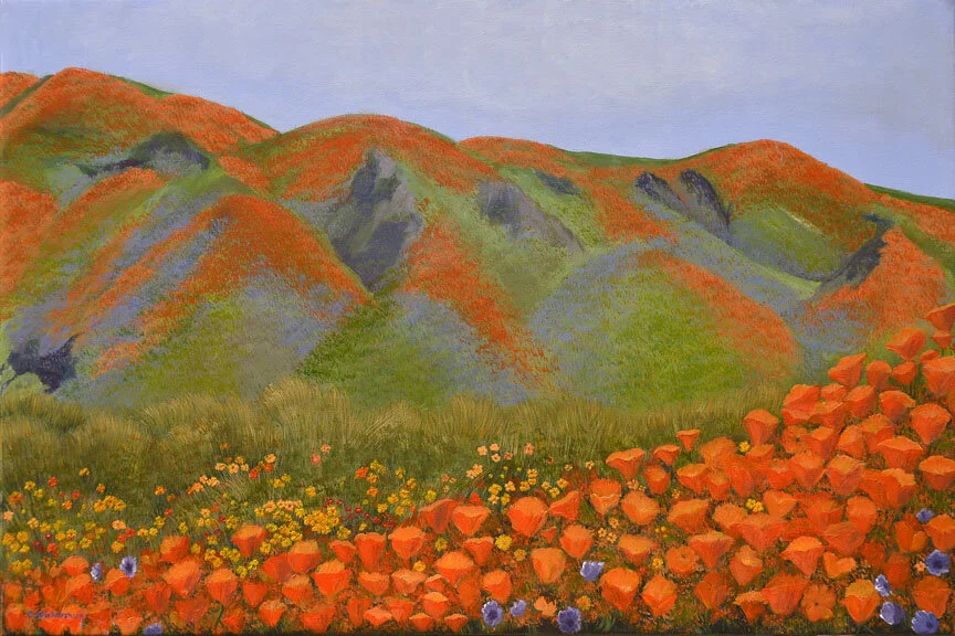 Poppy Paradise..Squarespace...jpg