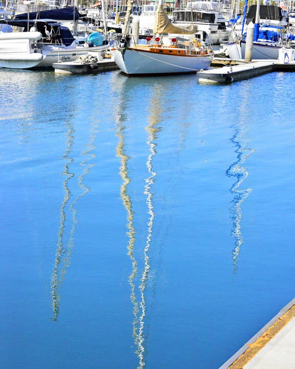 NOTE..Marina Main Sails..Squarespace...jpg