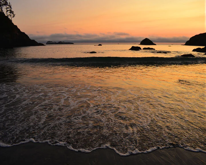 Evening Lace..Squarespace...jpg