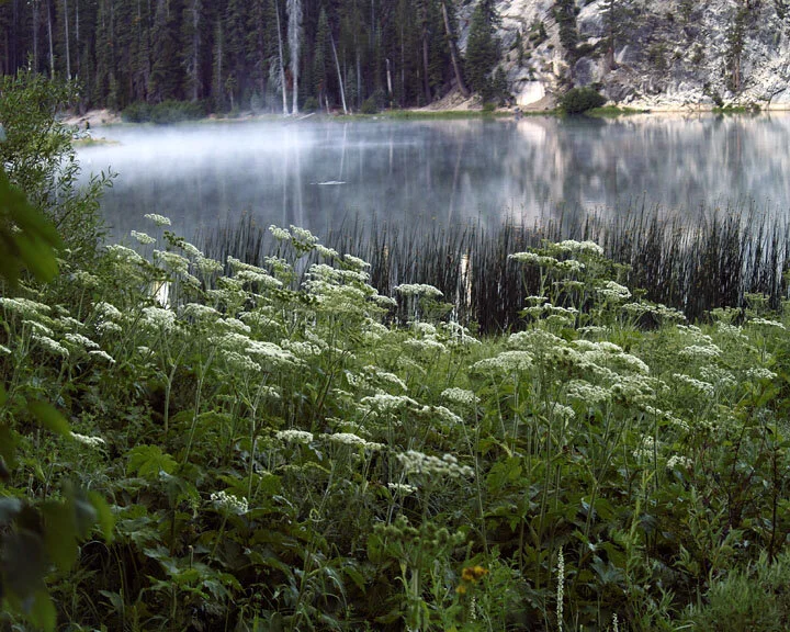 Sotcher Lake ..Squarespace...jpg