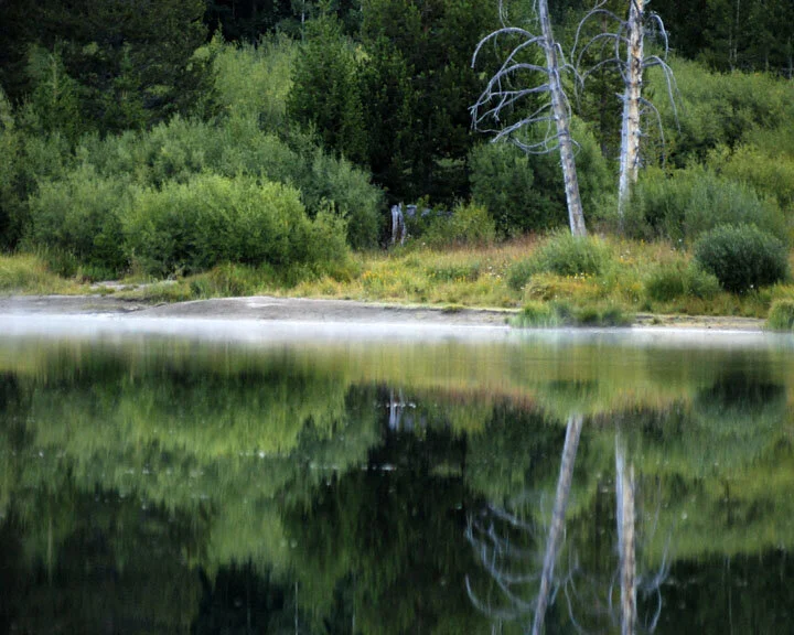 Sotcher's Purity..Squarespace...jpg