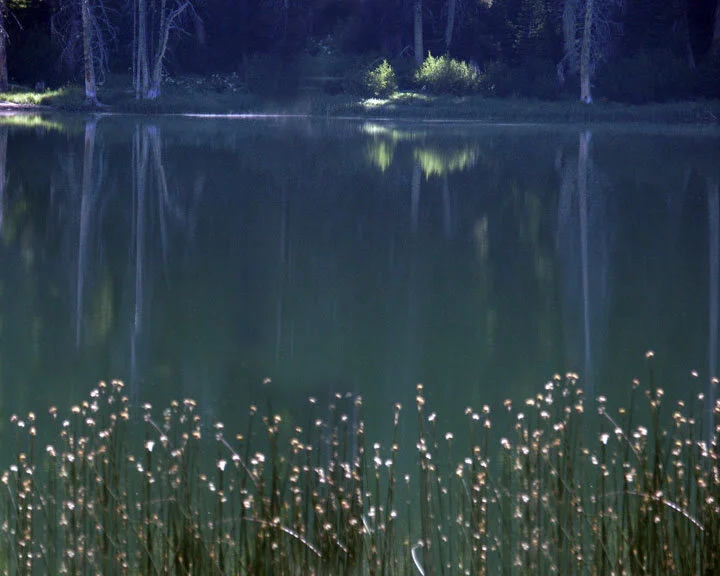 Sotcher Dreams..Squarespace...jpg