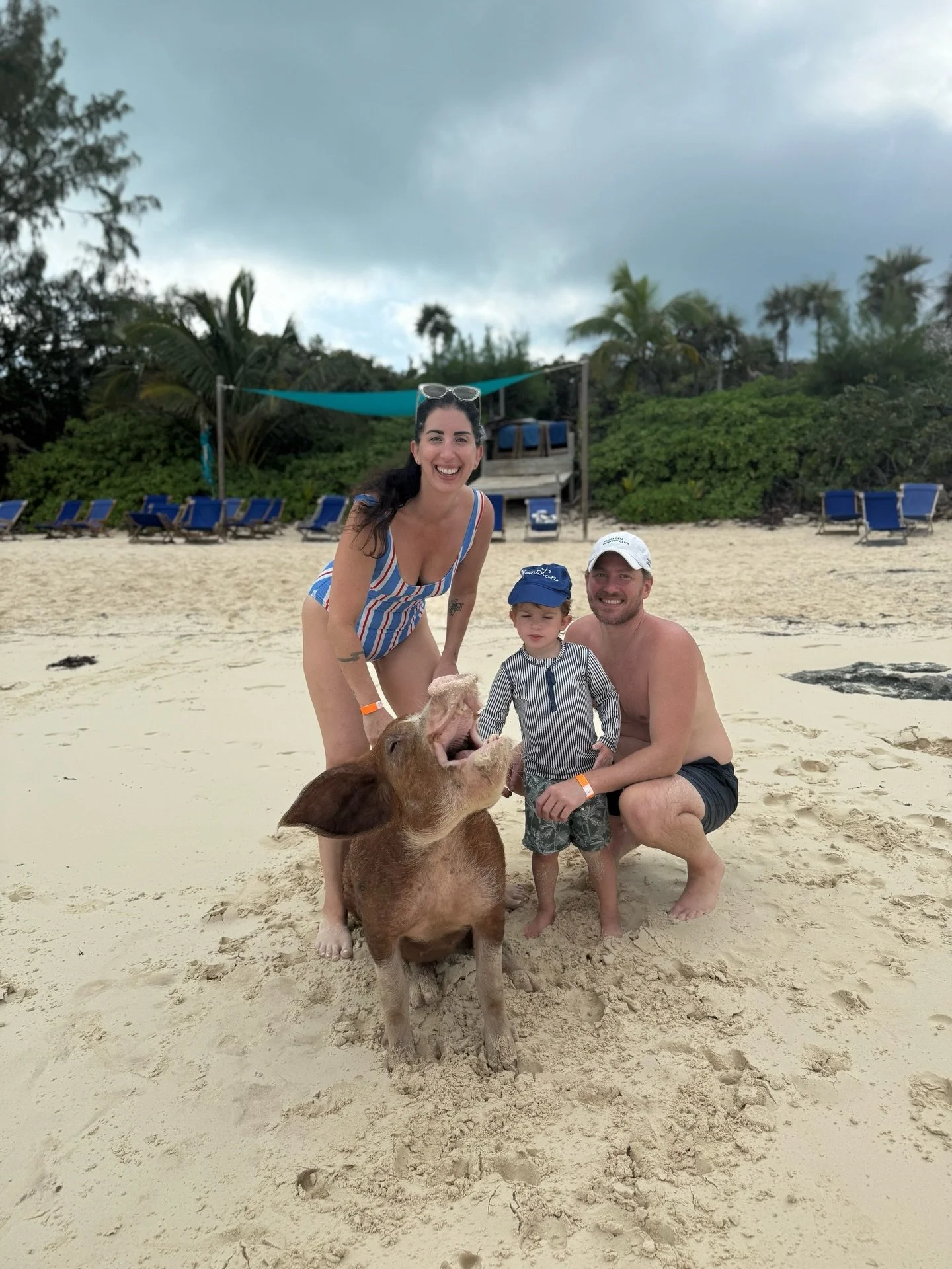 This lil piggy went to market