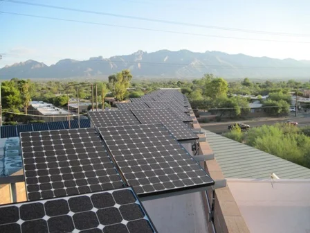 The Nature Conservancy