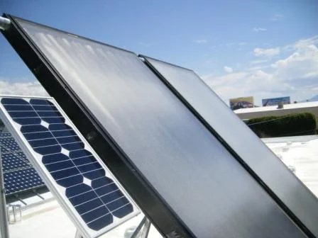 Central Animal Hospital