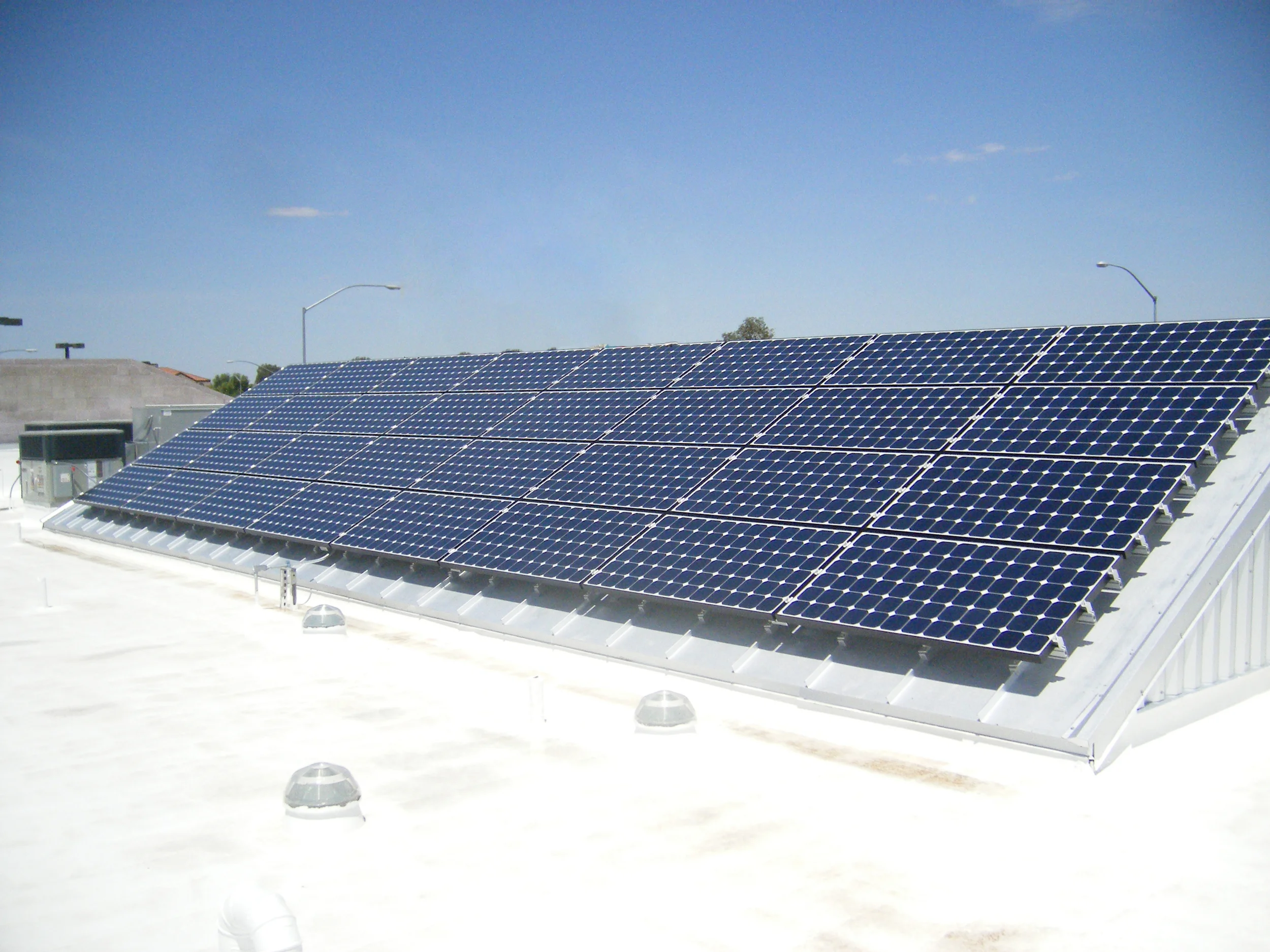 Central Animal Hospital: Celebrating 6 Years of Clean Energy