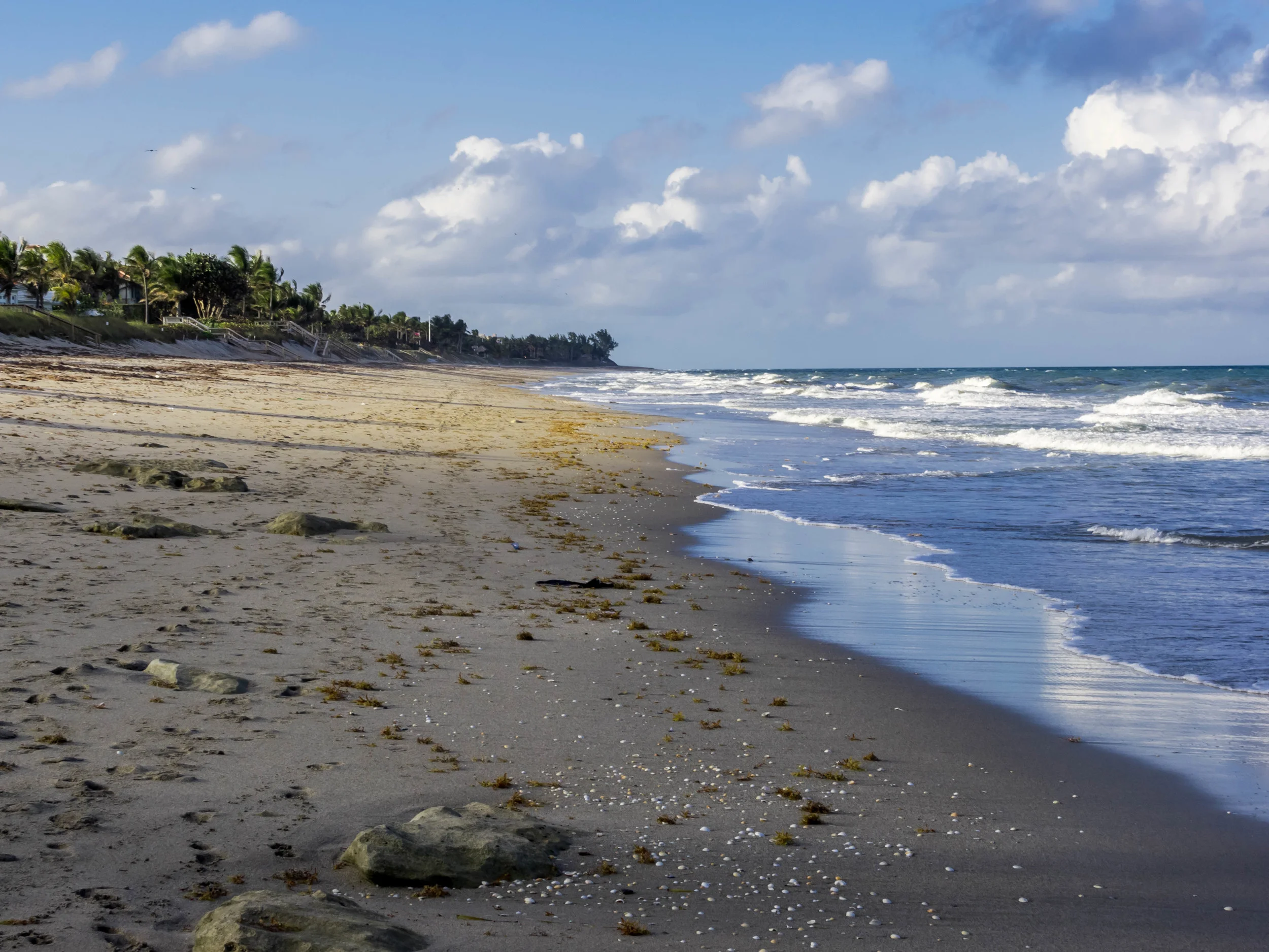 beach3.jpg