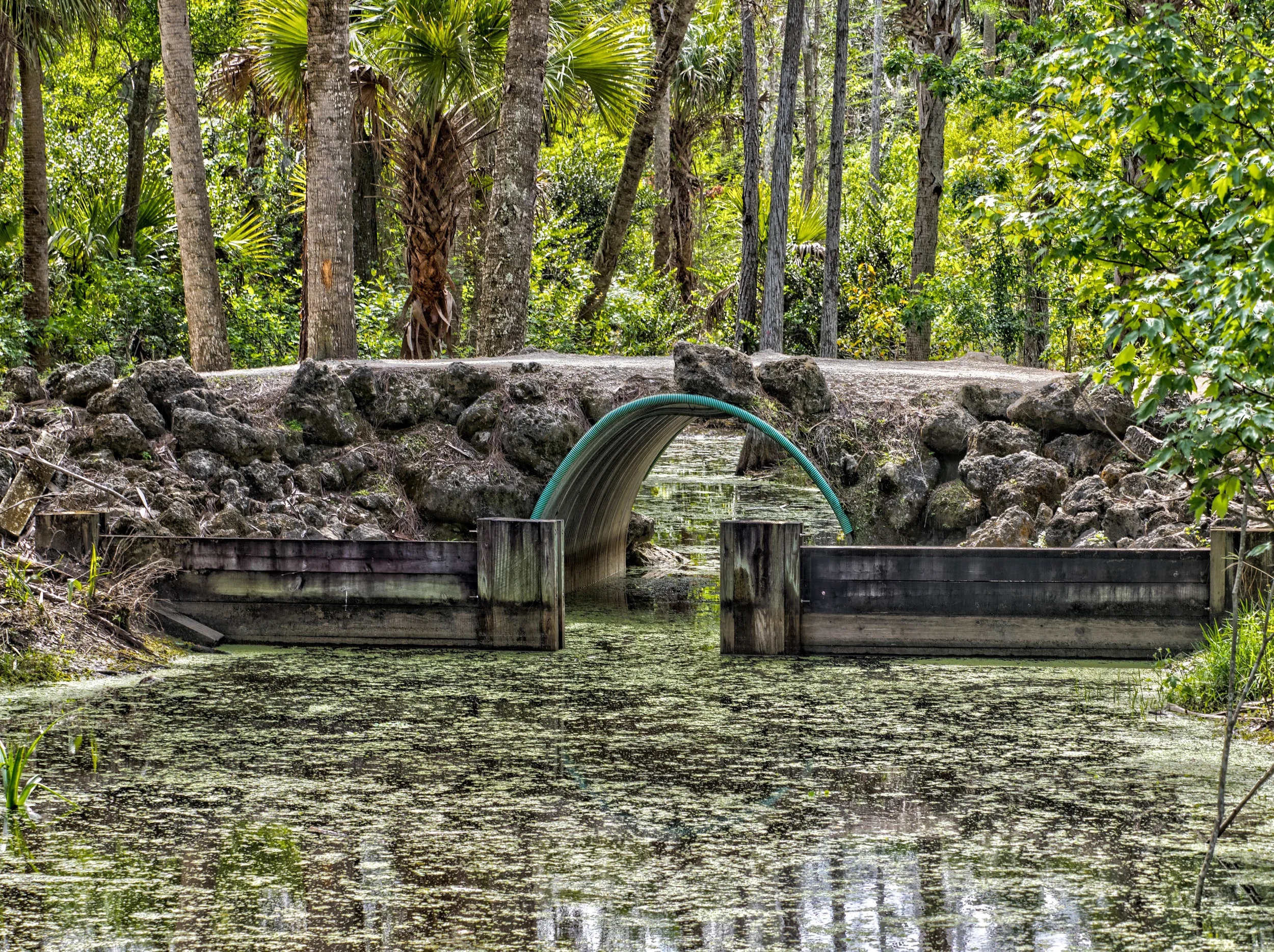 florida1.jpg