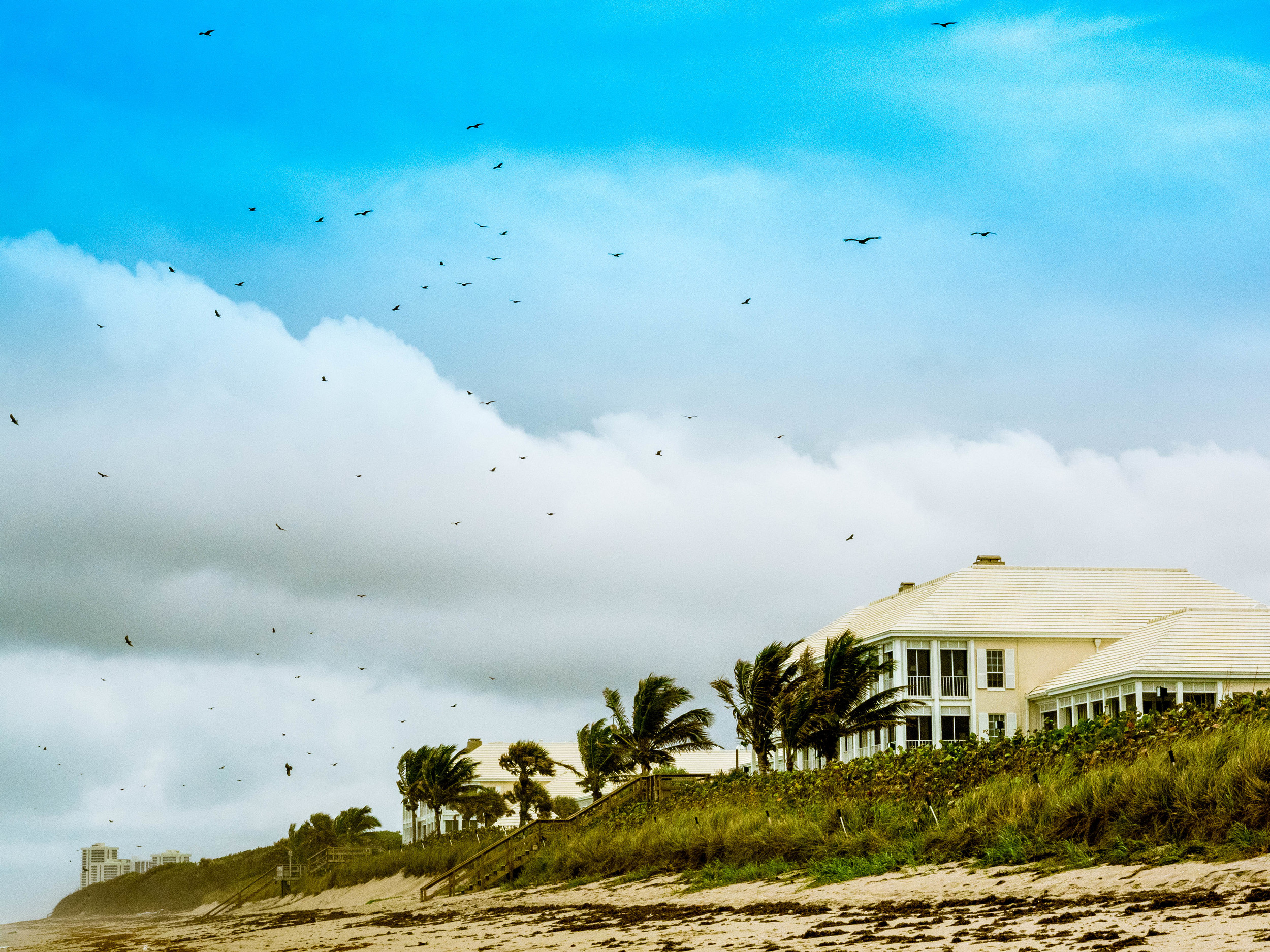 beaches4.jpg