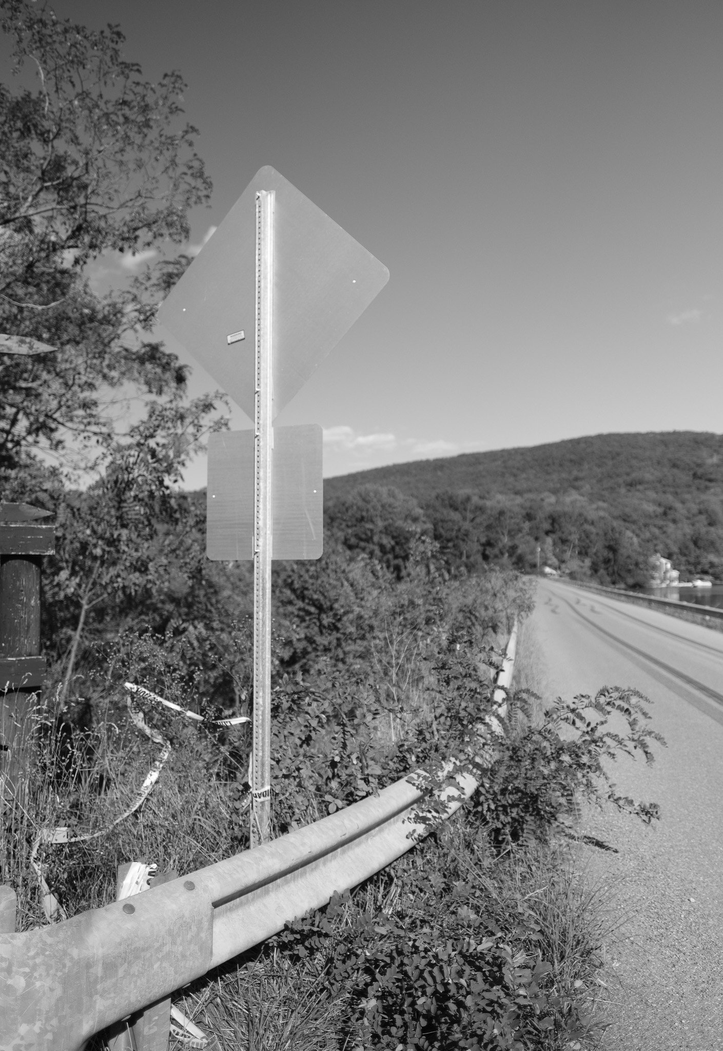 DSCF0537.jpg
