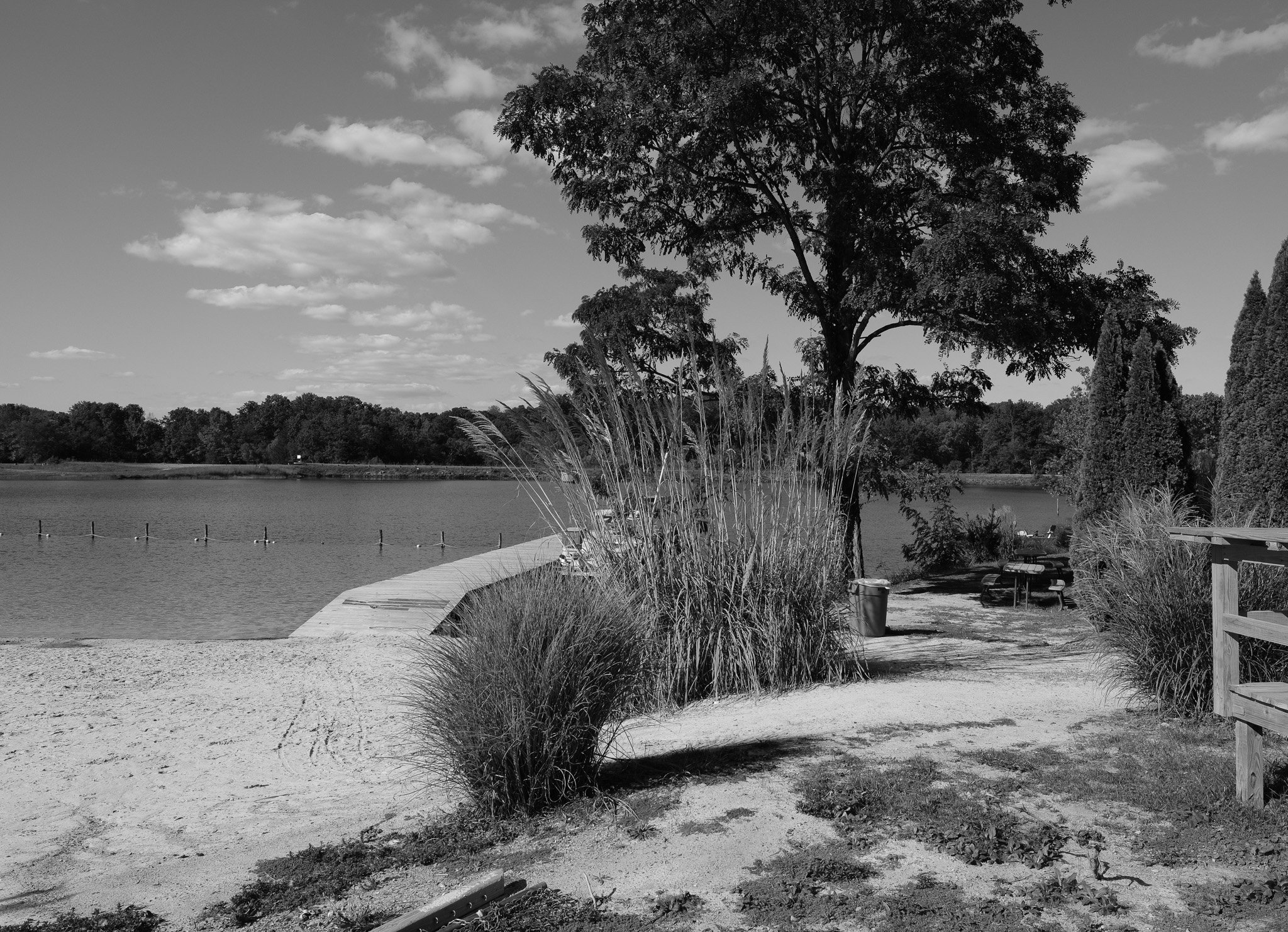 DSCF0512.jpg