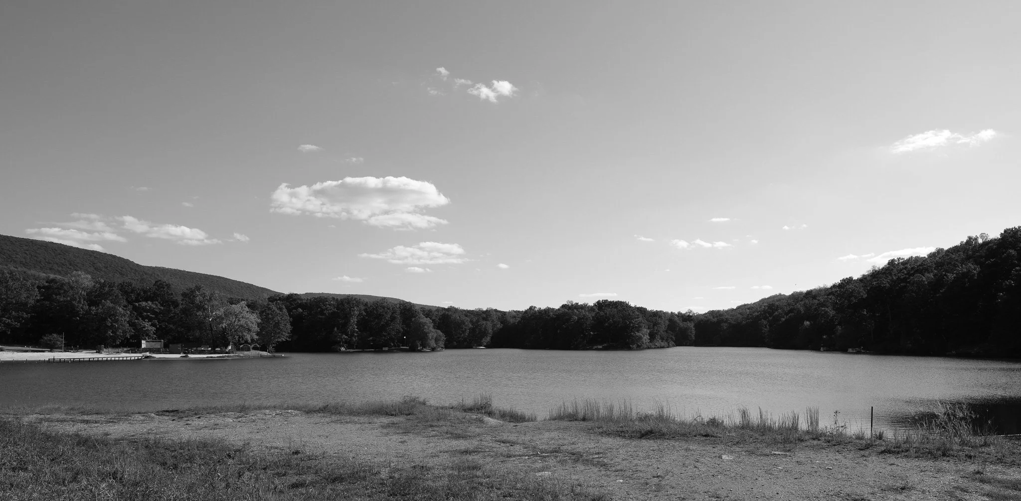 DSCF0530.jpg