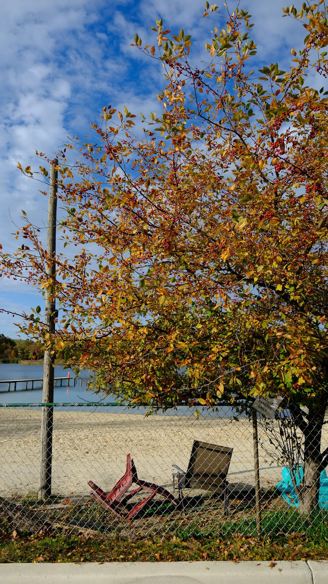 DSCF0922.jpg