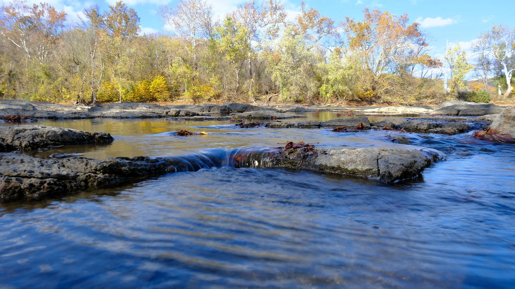 DSCF0928.jpg