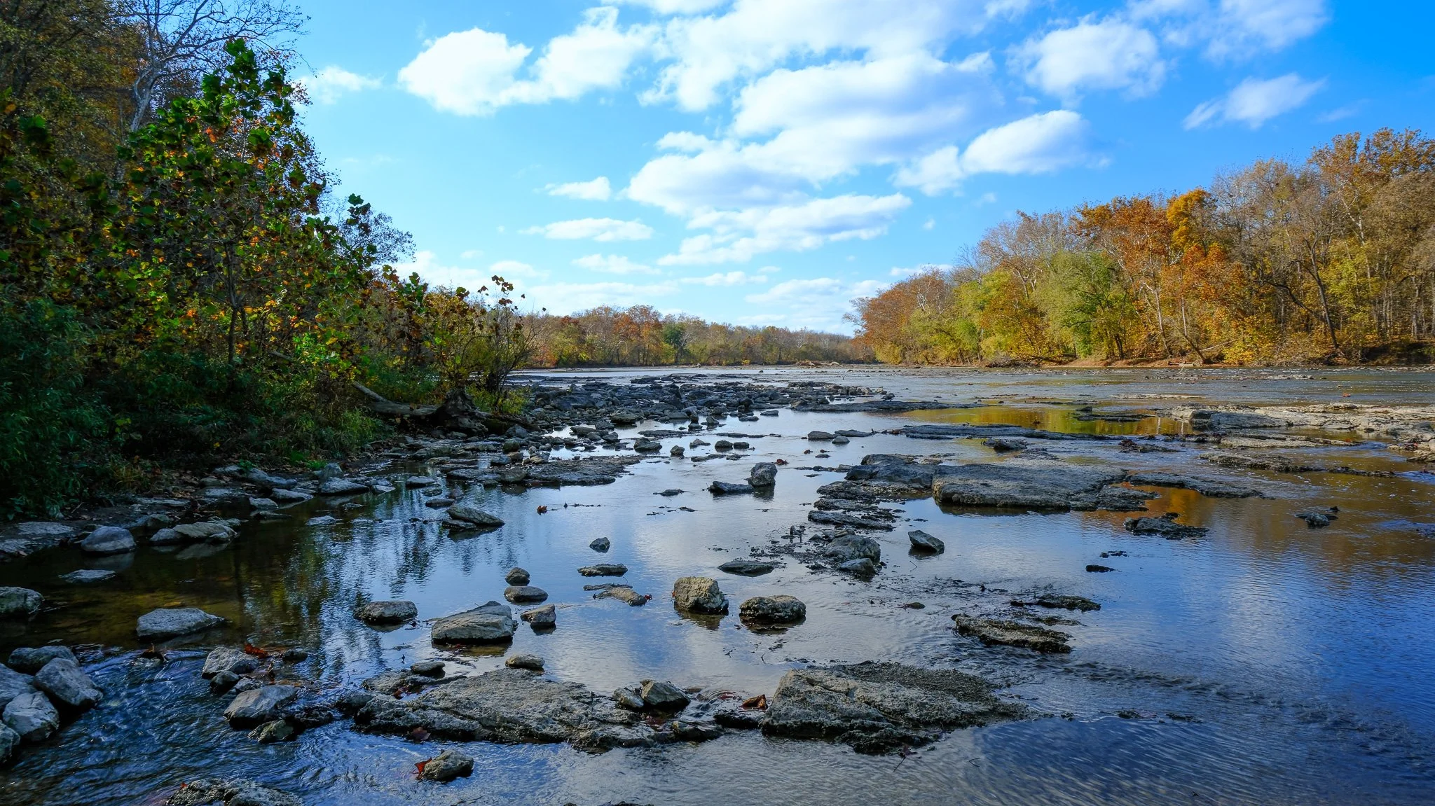 DSCF0939.jpg
