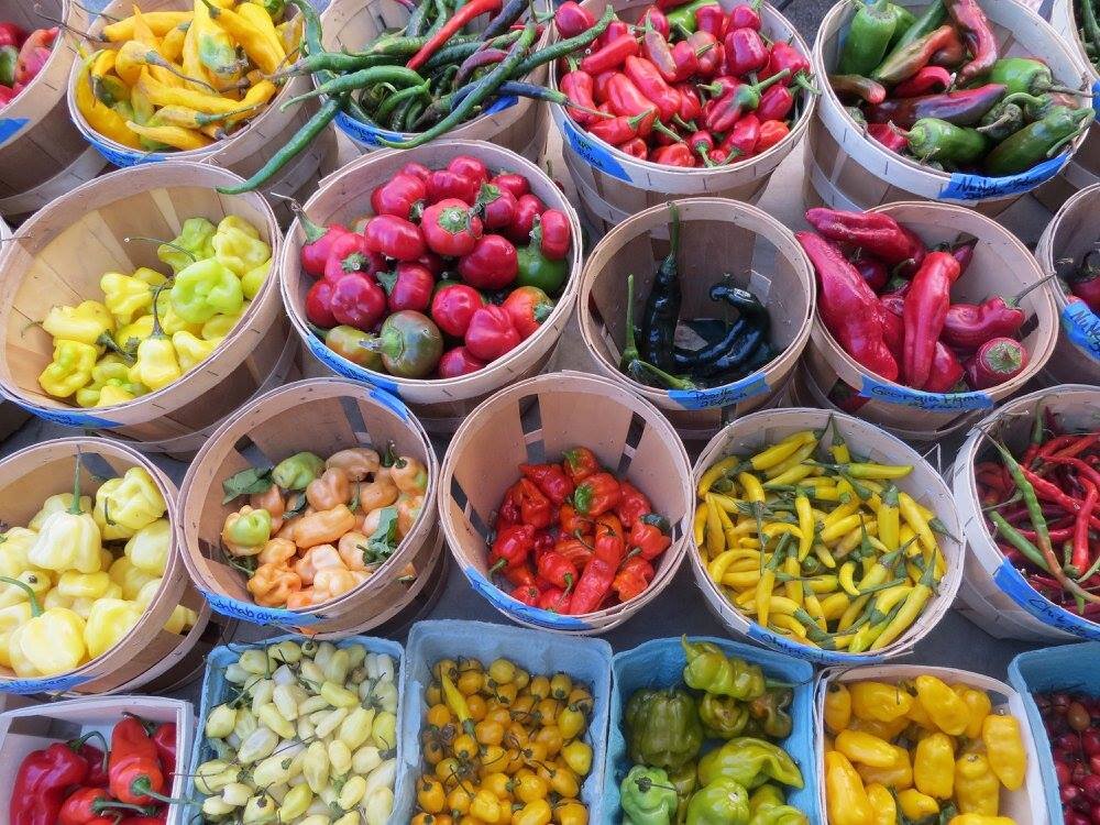 assorted peppers.jpg