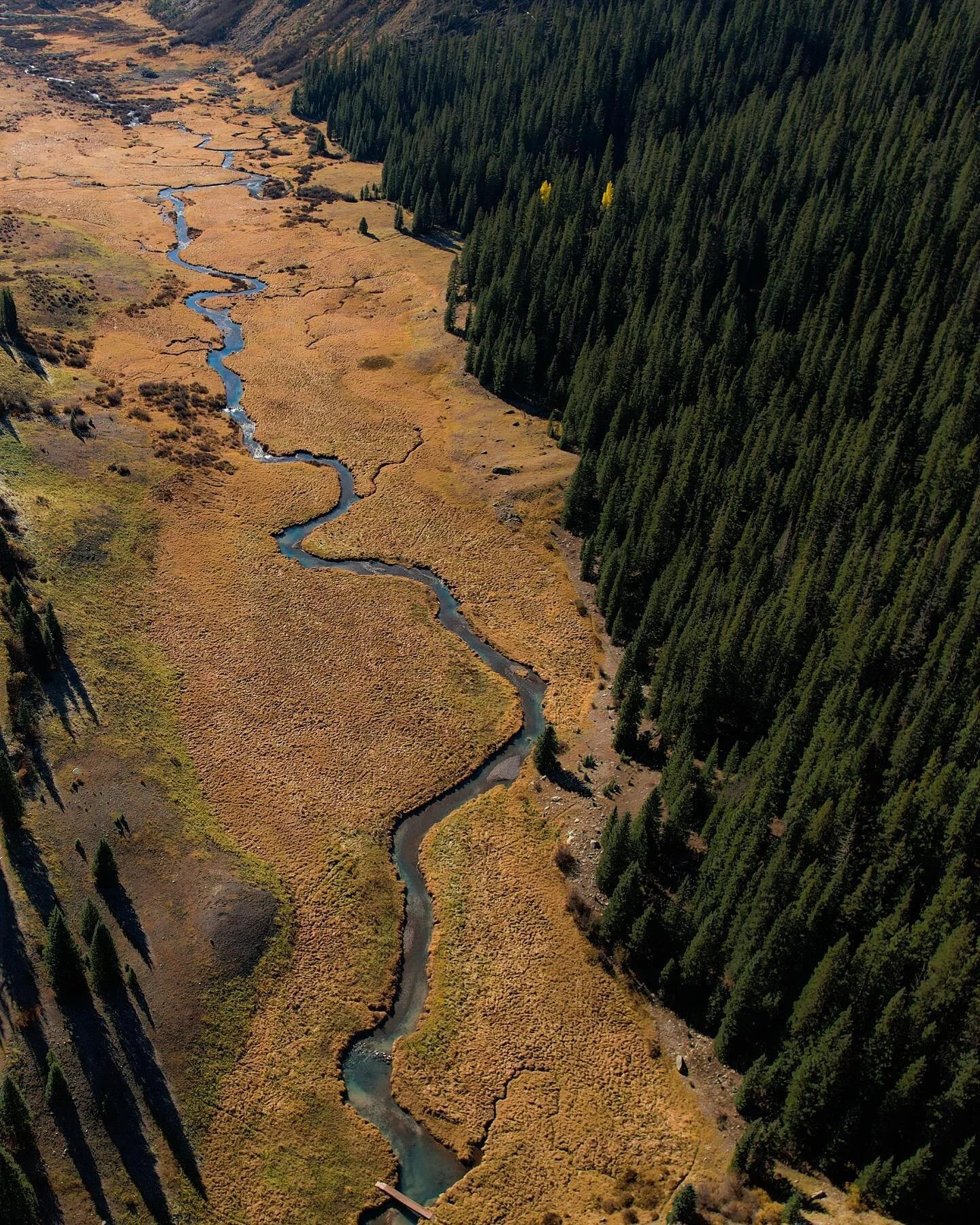 In the winter if you follow this creek up and then ascend one of the small valleys above it, you can reach some pretty mega skiing. Can&rsquo;t wait to get back there again this winter