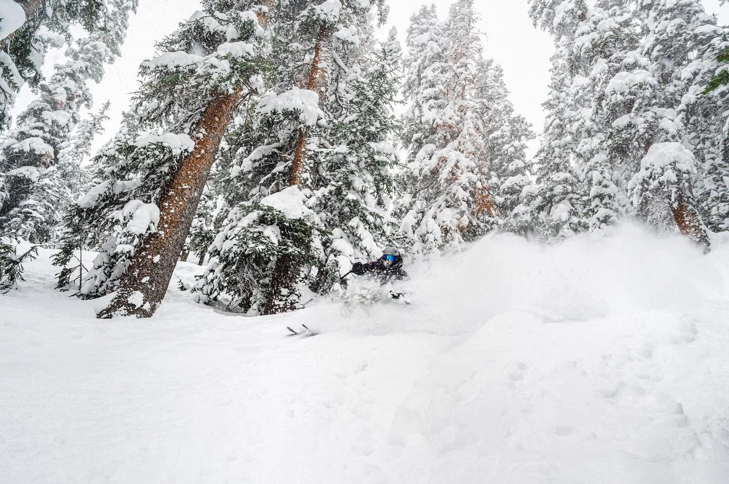 Ready to get back into winter wonderland with the certified frothy @instaaworthyy