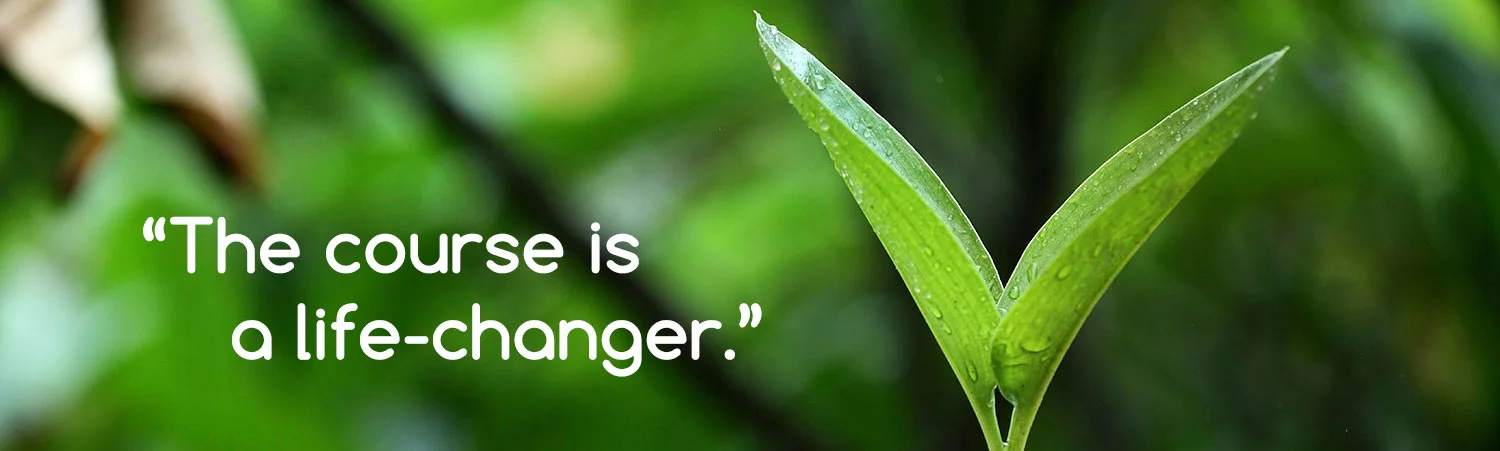 Plant-growth-new-life-mindfulness-testimonials.jpg