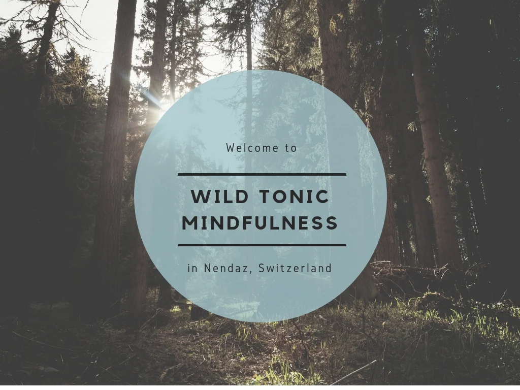 wild tonic mindfulness - Brochure Cover.jpg