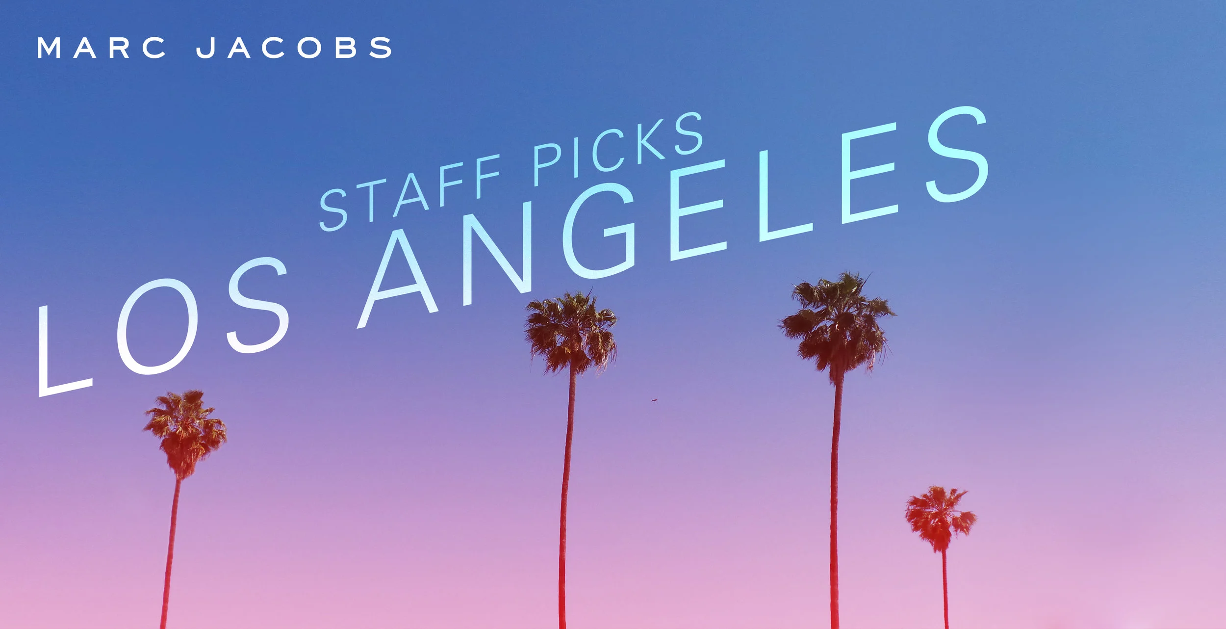 LA_STAFFPICS_01.jpg