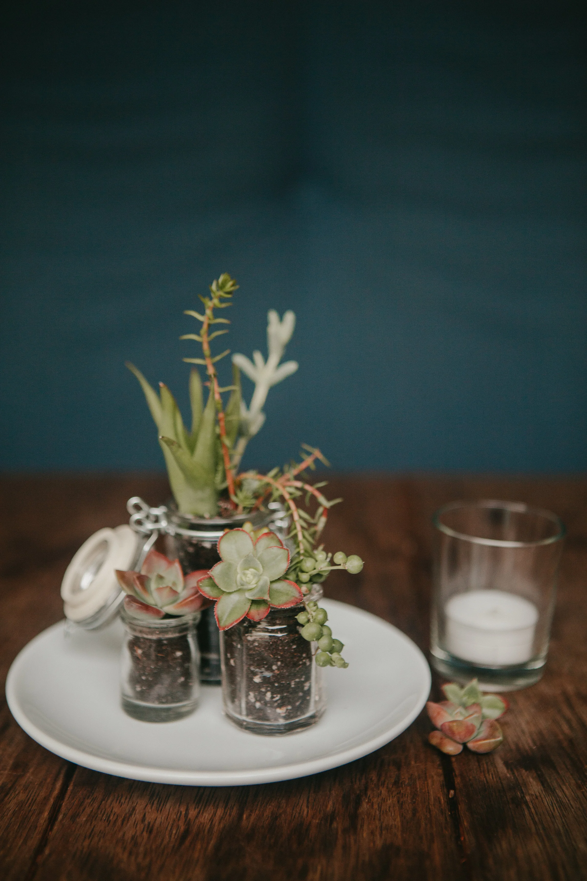 centerpiece-339.jpg