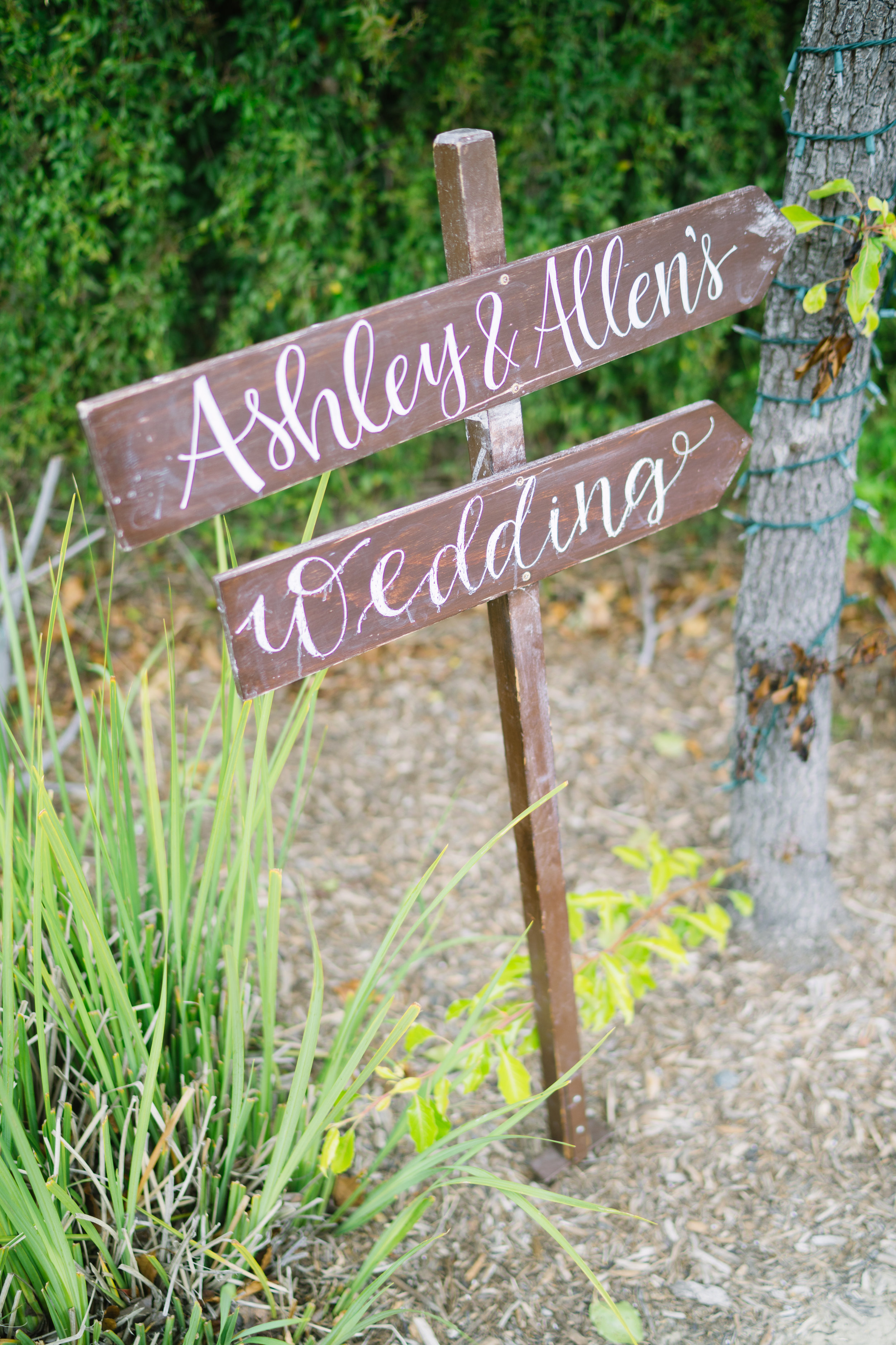 wedding signs 1.jpg