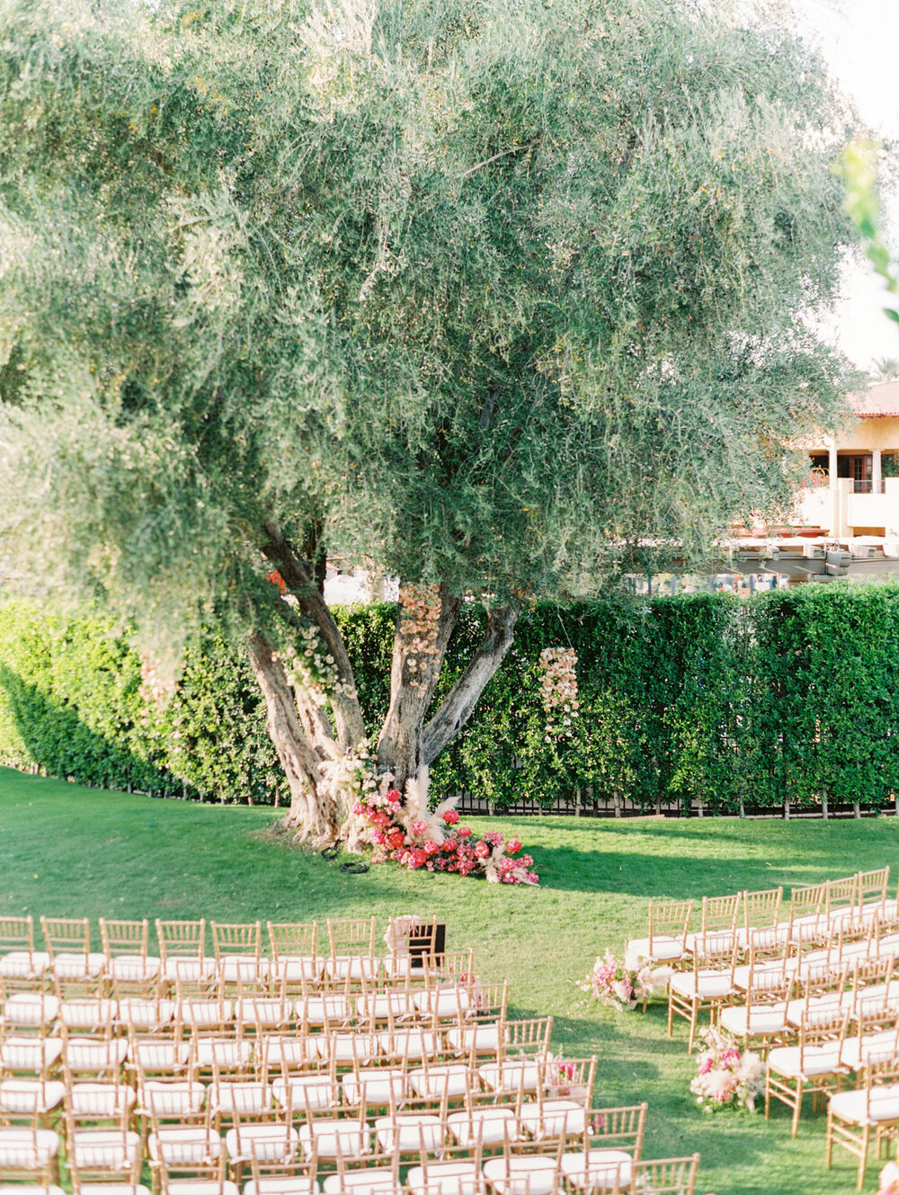 27 ceremony tree flowers.jpg