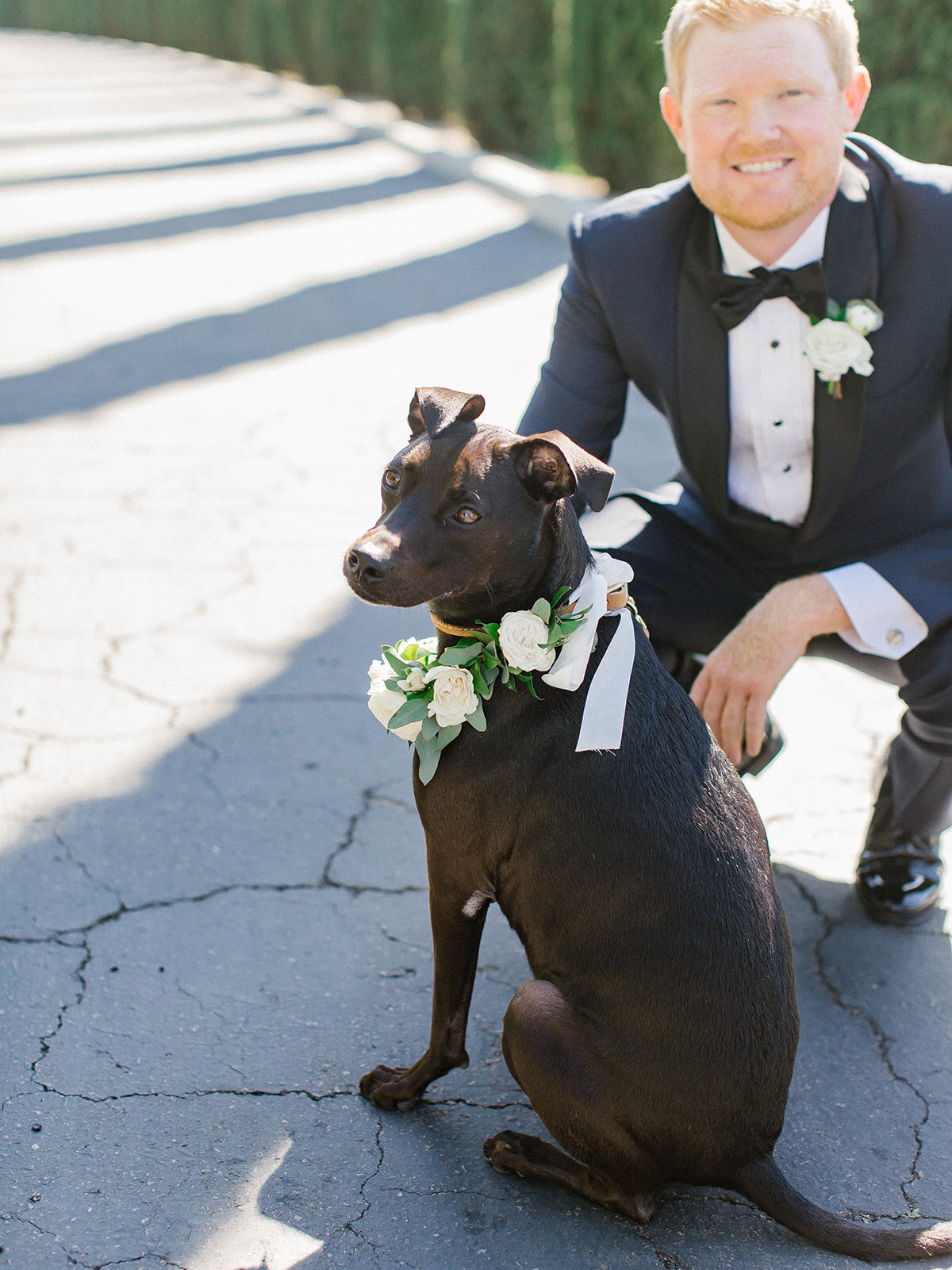 14 dog flower collar.jpg