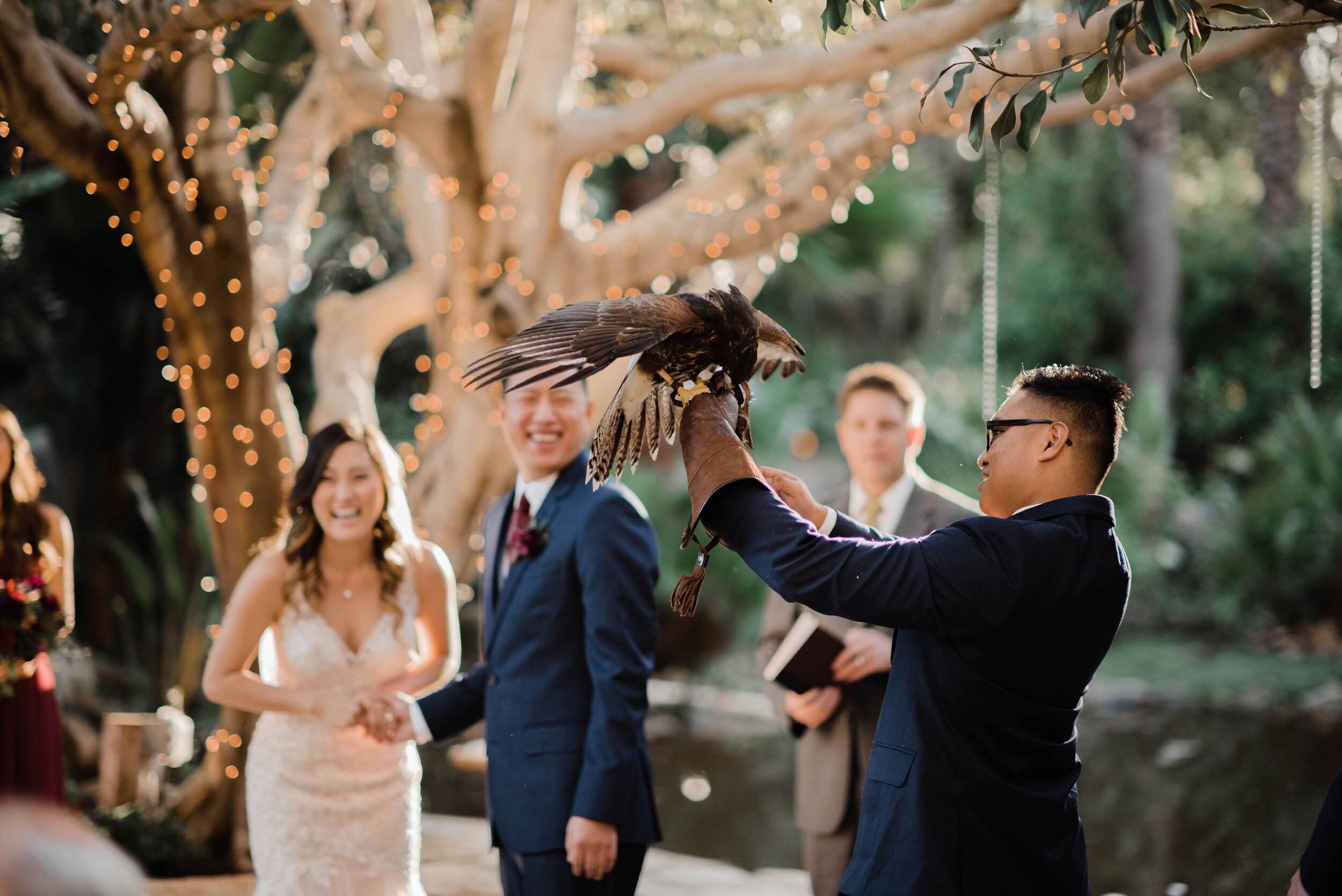 31 wedding falcon.jpg