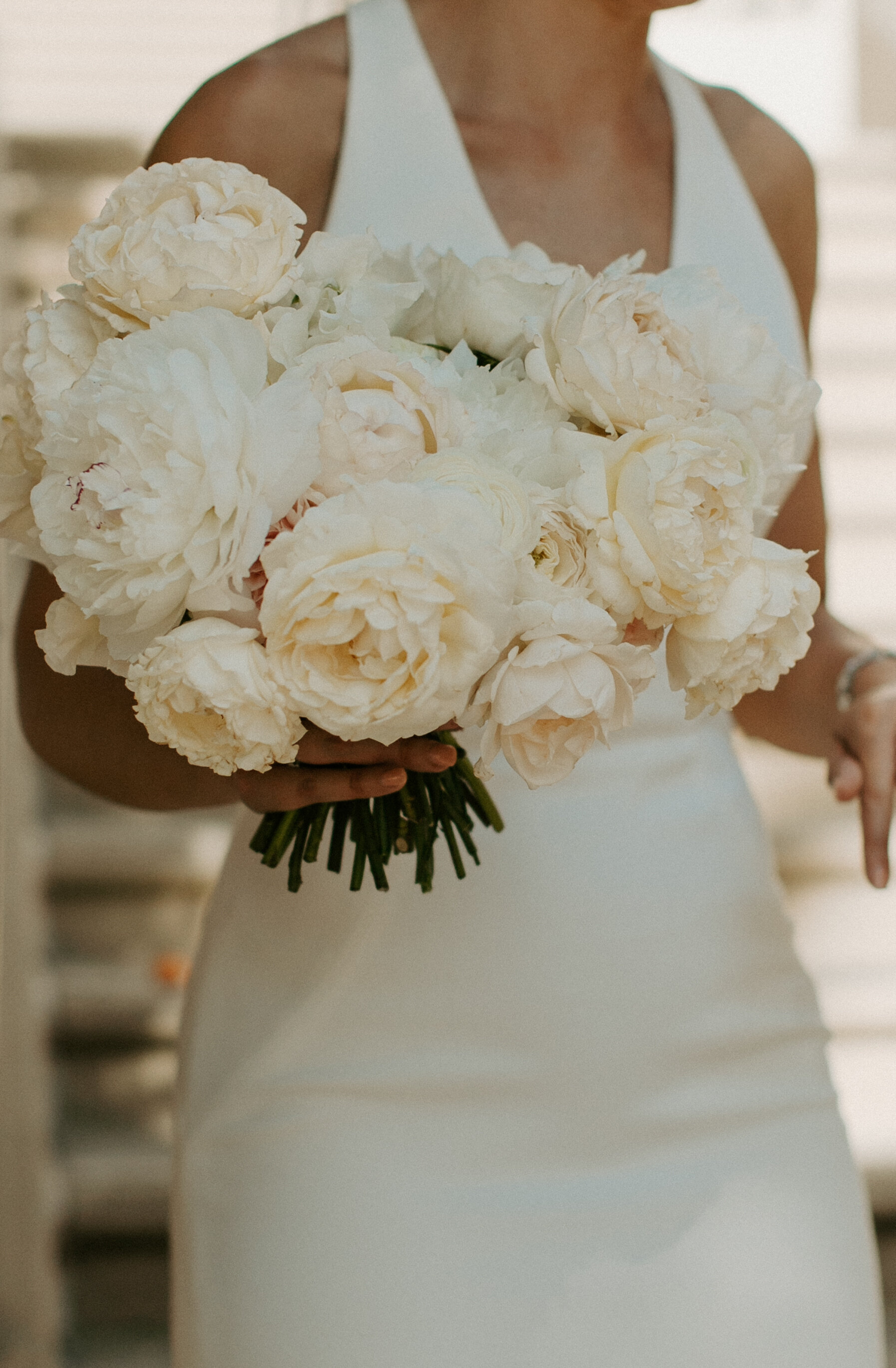 6 white garden rose bouquet.jpg