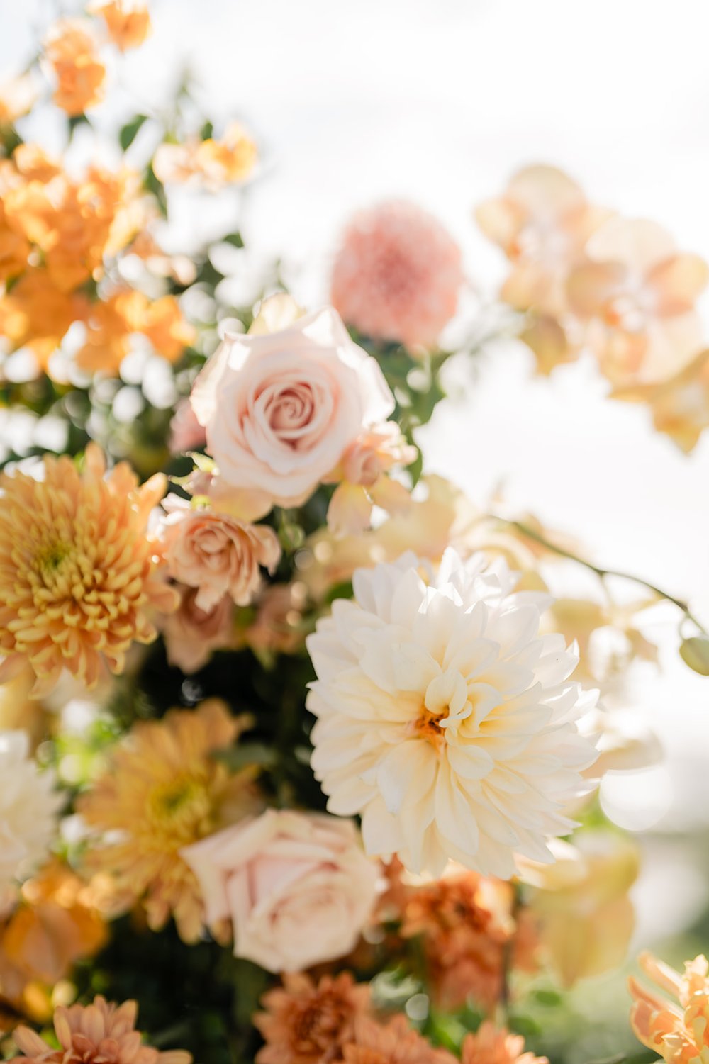 dahlias and roses.jpg