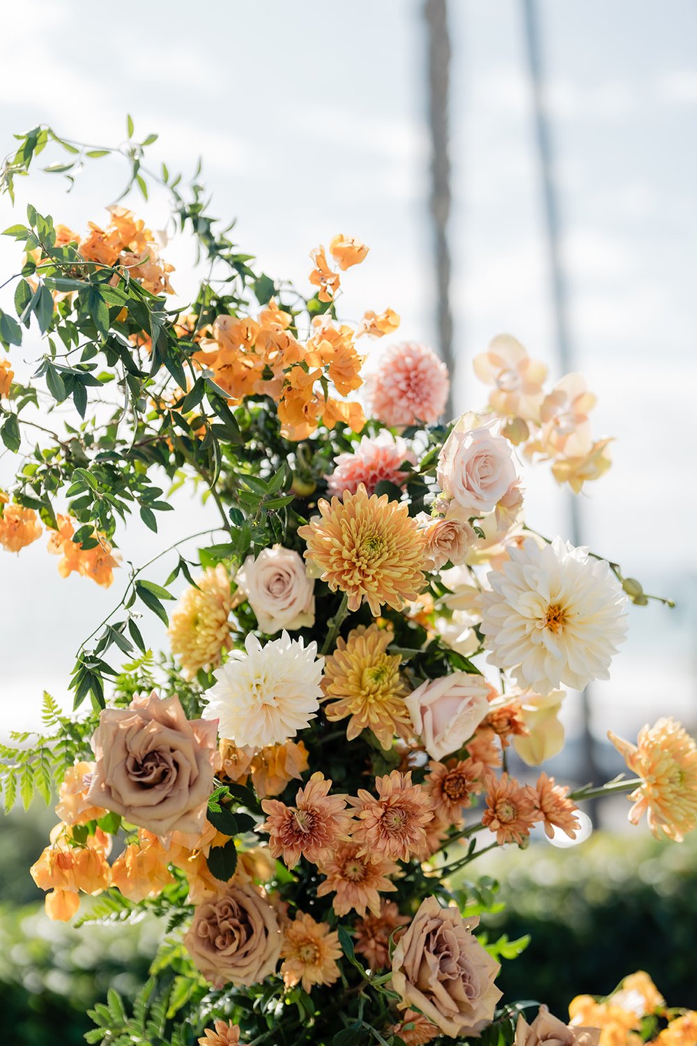 peach wedding arch.jpg