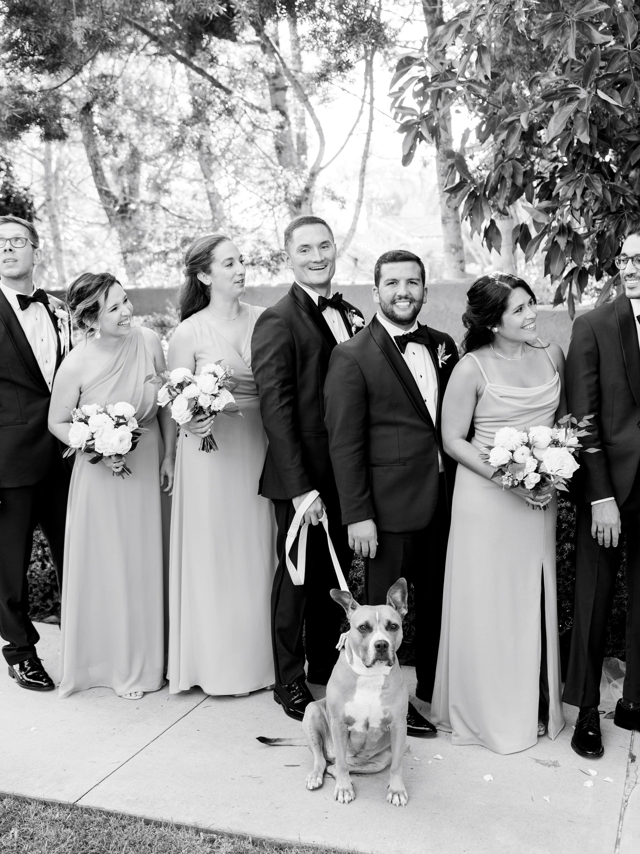 wedding party with dog.jpg