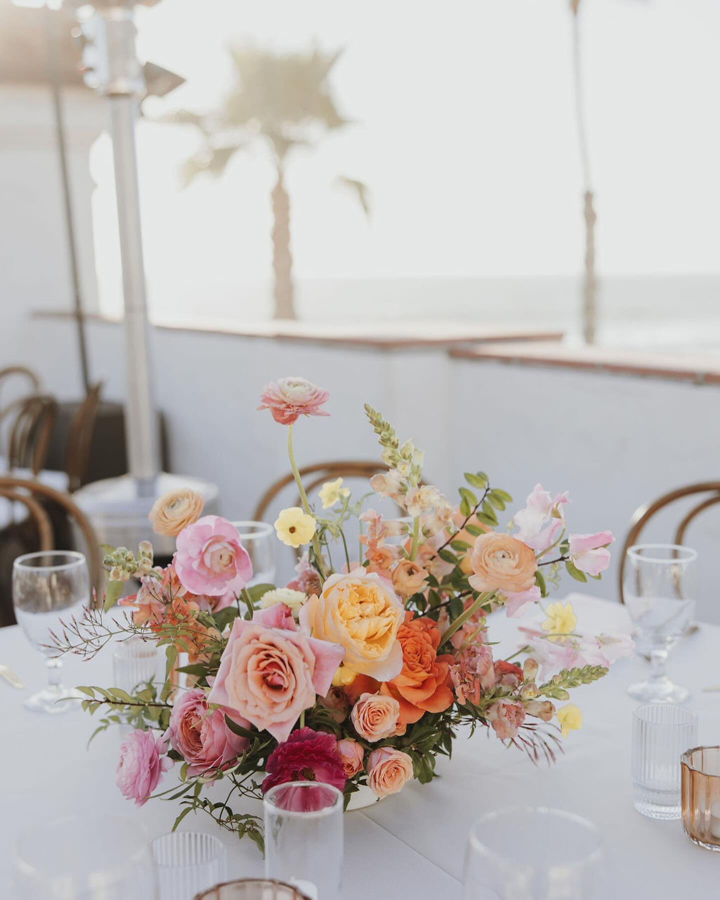 Colorful sunset tones for E + B 💛
.
.
Photographer @alissarose_photography 
Venue @olehansonbeachclub 
Video @daveandacamera 
Planning @arches.sd 
Catering @24carrotscatering 
.
.
.
#bluebellflorals #olehansonbeachclub #olehansonbeachclubwedding #be