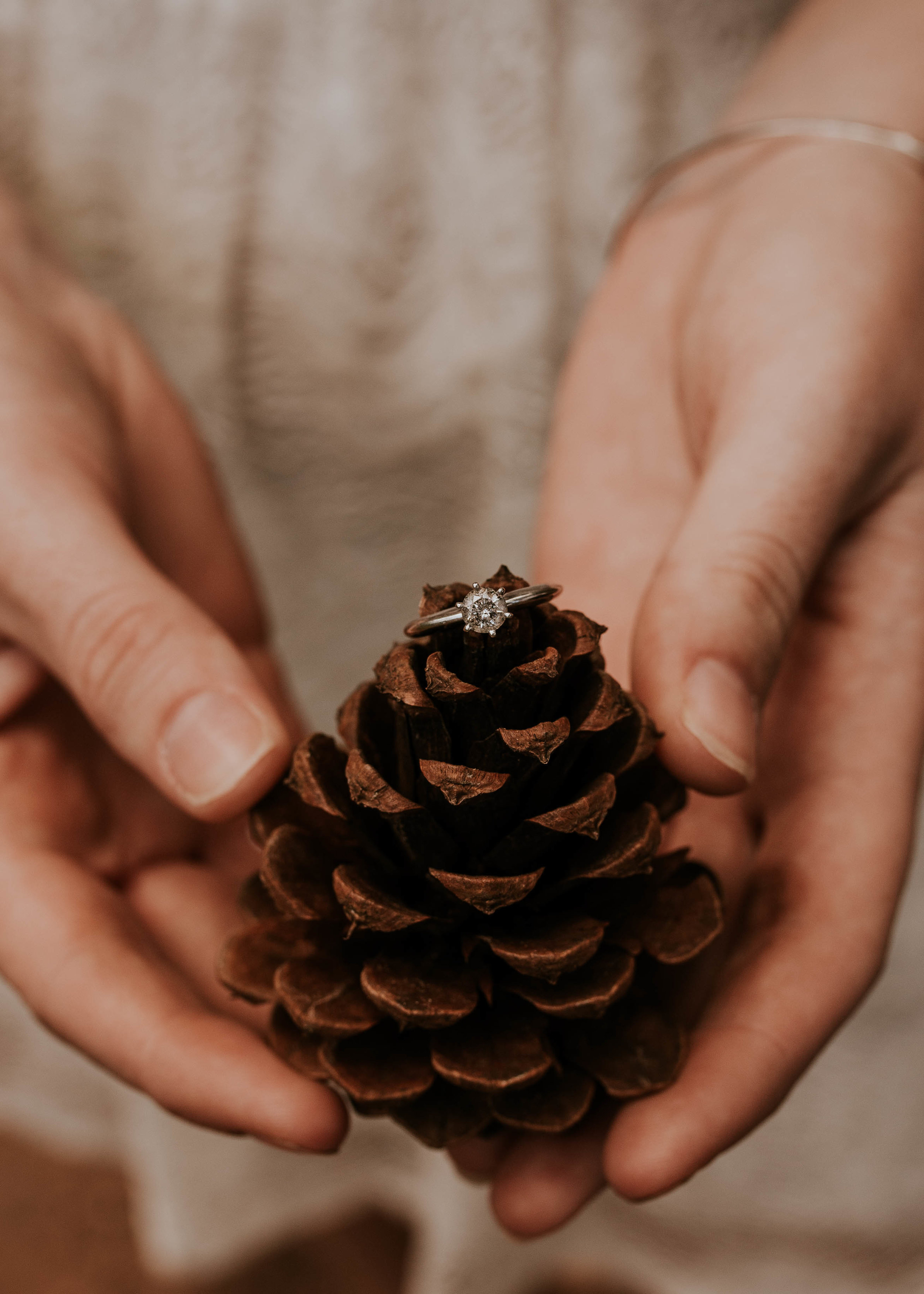 Payson Arizona Mountain Top Engagement Session-17.jpg