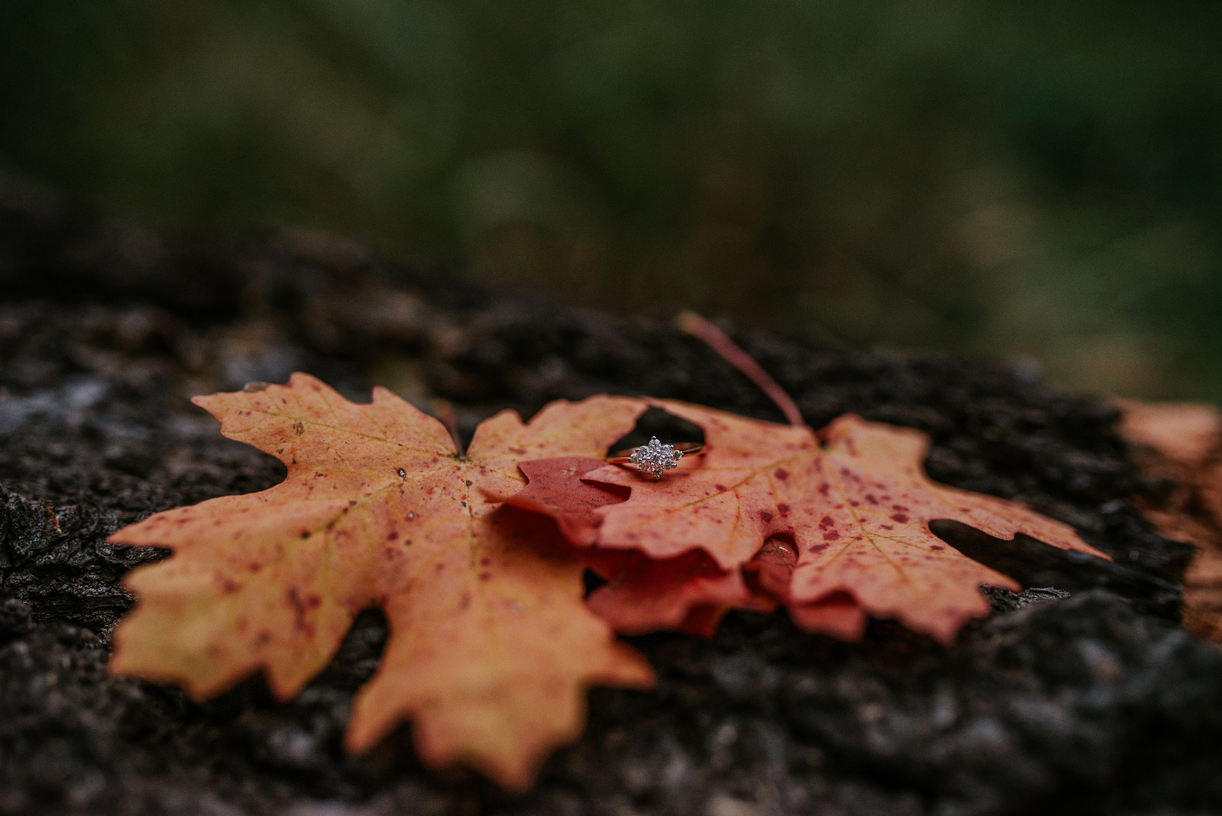 Fall Stormy Engagement Session Mount Lemmon-24.jpg