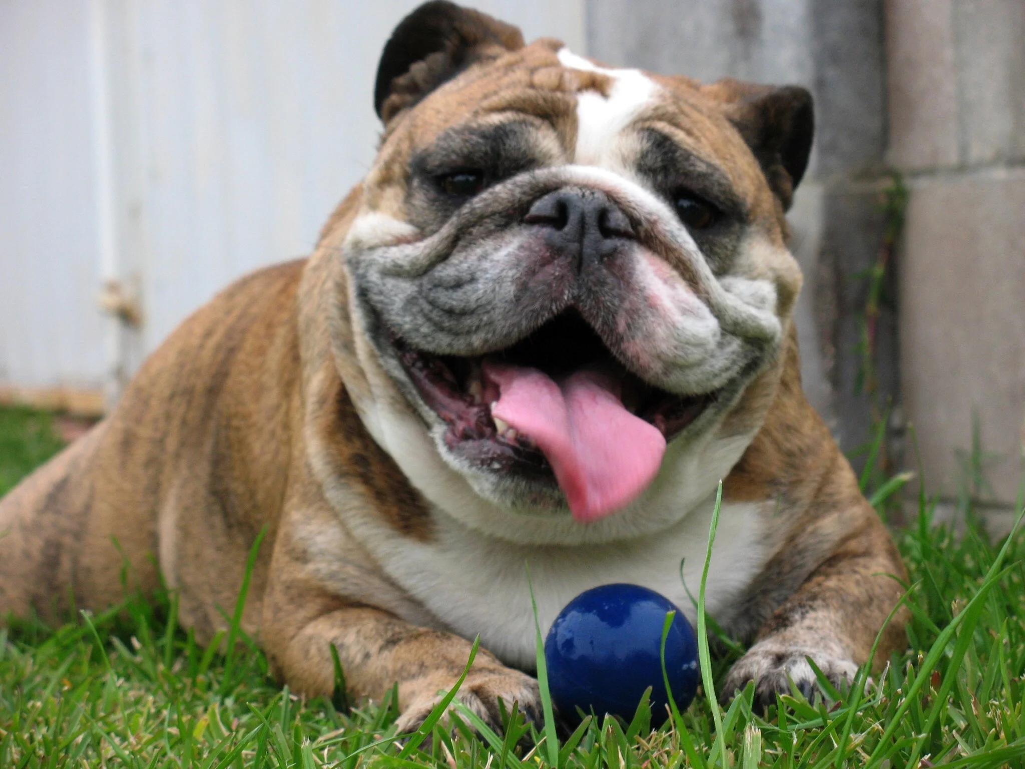 Isis: 'Close your eyes, open your mind', by David Kracov - 2015