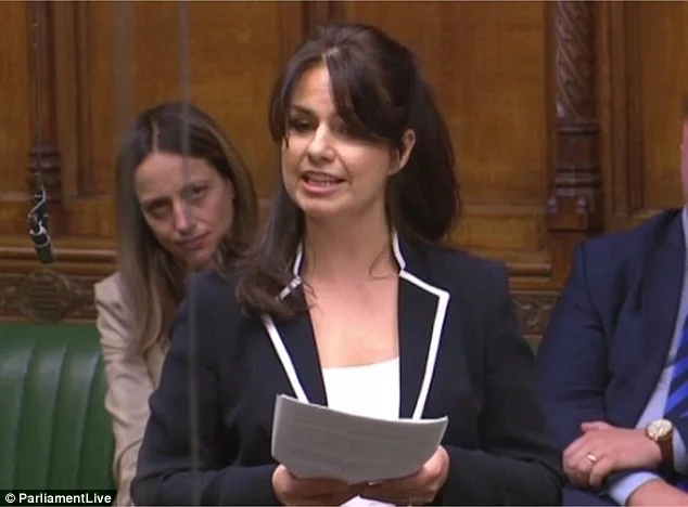 Heidi Allen: 'I worry that our single-minded determination to reach a budget surplus is betraying who we are'', maiden speech - 2015