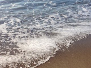 For Bob: 'When you suffer from chronic major depression at the level that Bob did, life can be so very painful', by Karen E Dill-Shackleford