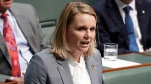 Peta Murphy: 'Finally, I want to end with a quote from Pippi Longstocking', Maiden speech - 2019