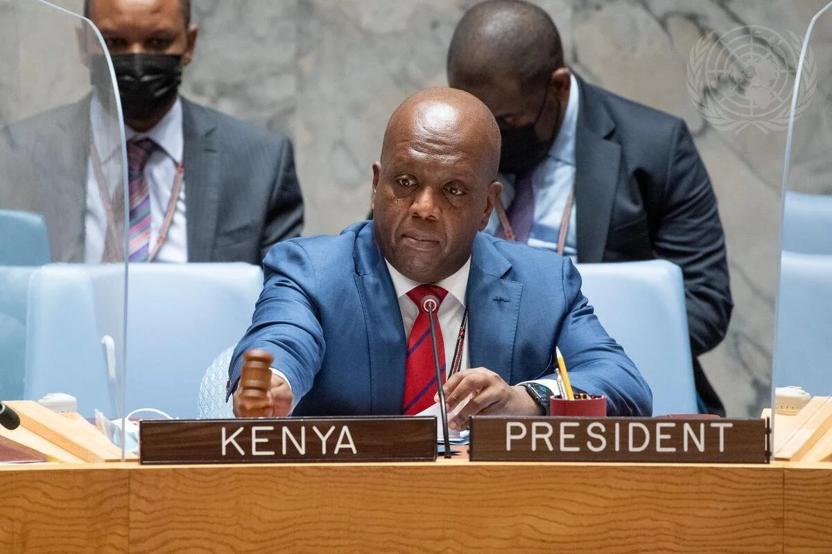 Martin Kimani: 'Instead, we agreed that we would settle for the borders that we inherited', UN speech on Ukraine war - 2022