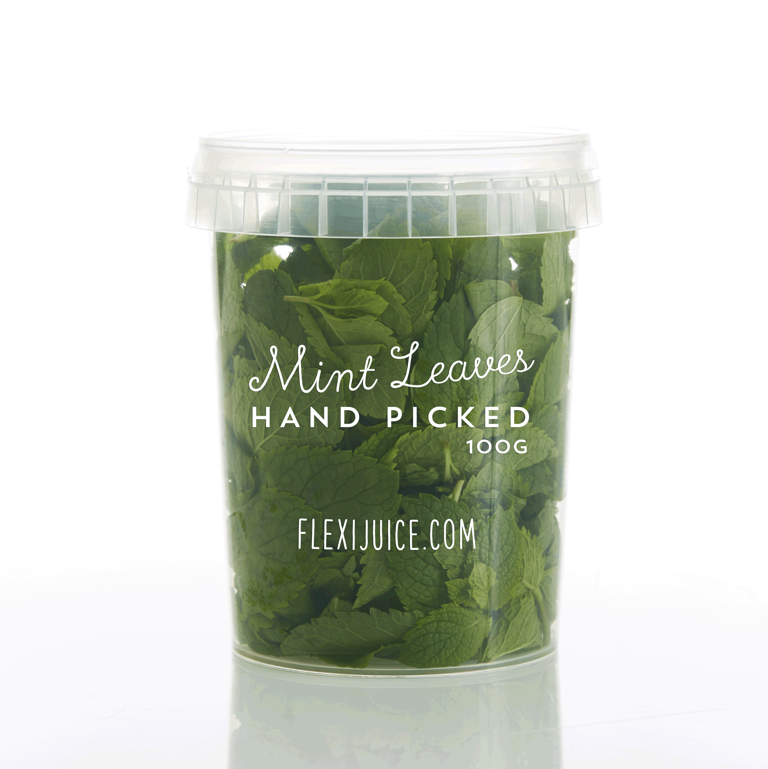 MINT LEAVES
