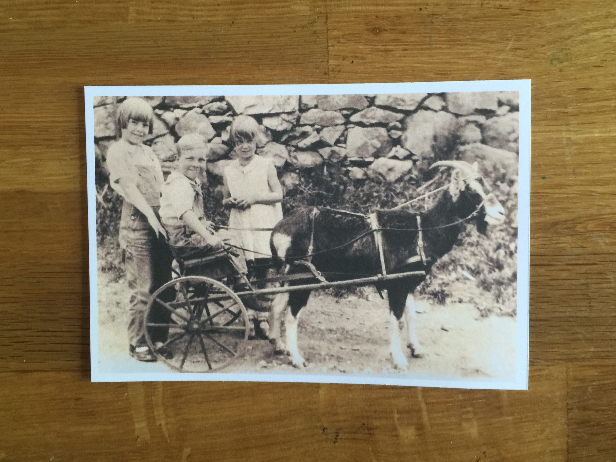  When a photographer asked to take the children's picture, Margie dashed inside to put on a dress.    Prompt:  Is there a particular article of clothing that evokes memories?  