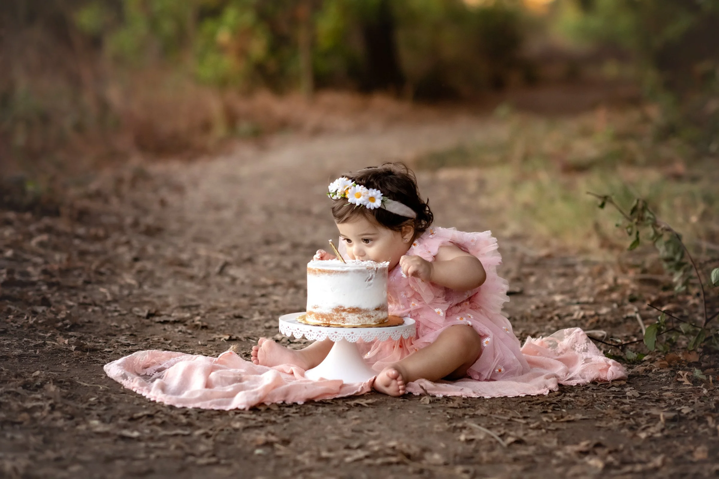 baby photographer lodi, Baby milestone photos lodi, baby photographer elk grove, baby photos lodi, baby photos Stockton, Baby photographer Modesto, Cake smash photos lodi, Cake smash photographer lodi, Cake smash photographer Sacramento