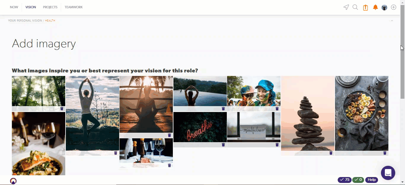 deletevisionimage.gif