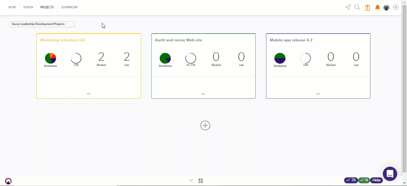 projectvision.gif