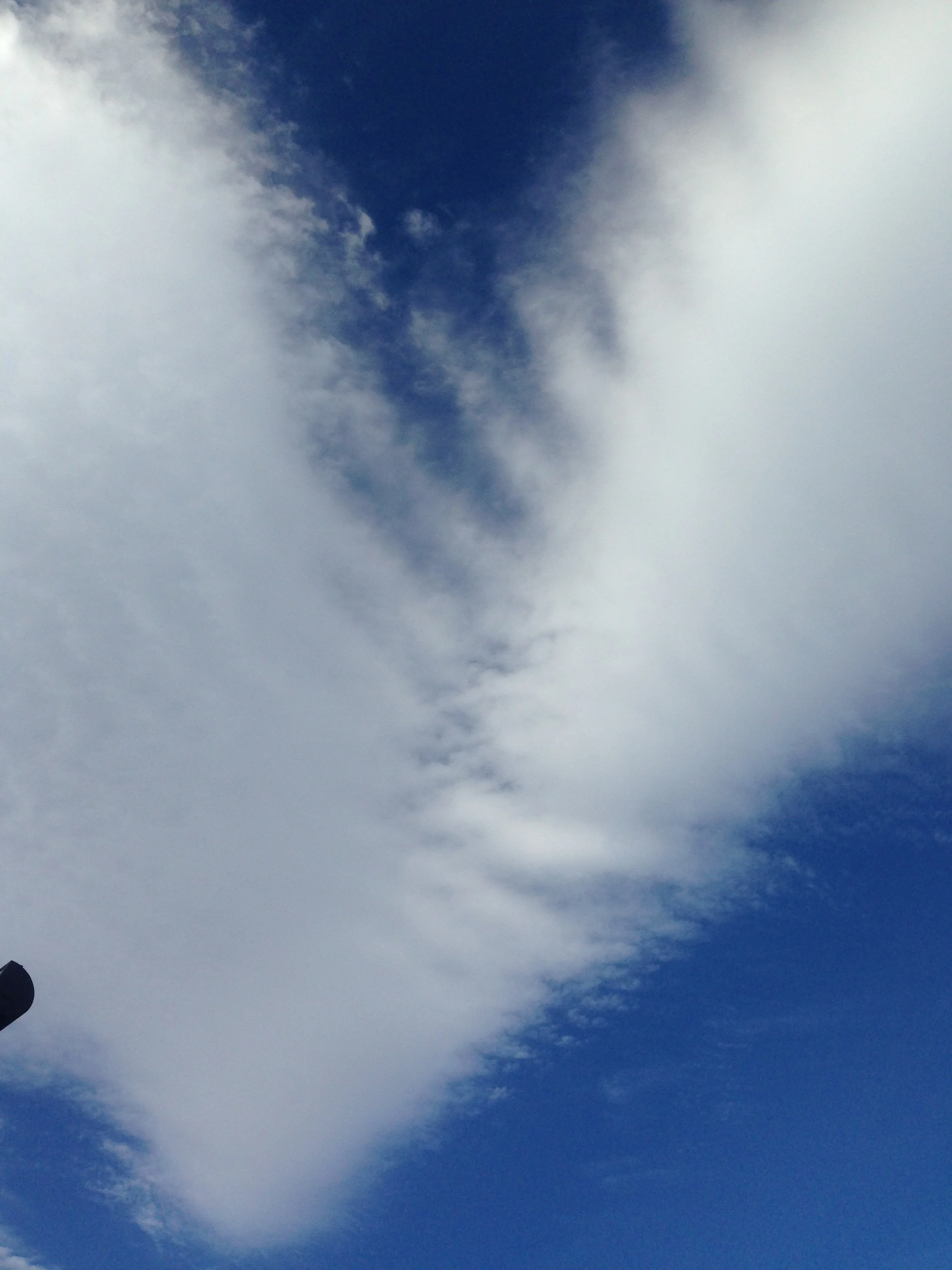 Partner Prenatal Yoga Workshop 