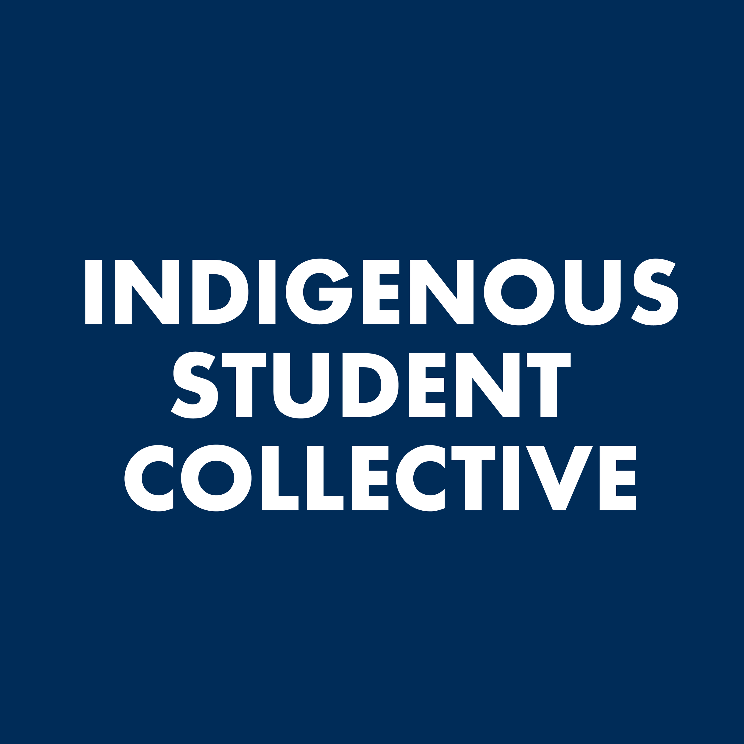 collectives background_indigenous_Mesa de trabajo 1.png